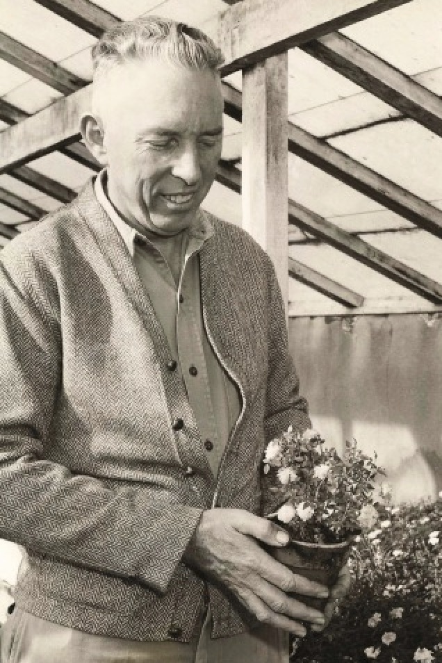 Ralph Moore the Father of the Miniature Rose