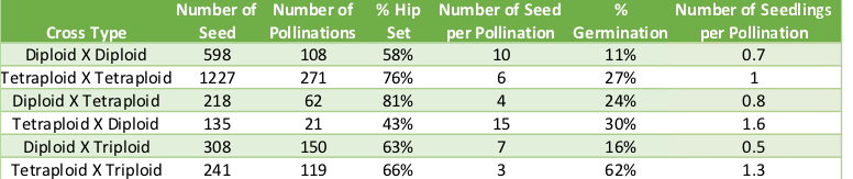 Table 1. Same ploidy crosses compared to interploidy crosses (data from Ueckert, 2014. Understanding and manipulating polyploidy in garden roses. Master of Science thesis. Texas A&M University).